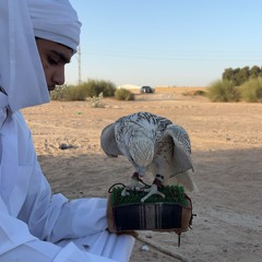 حصيلي من الذكره - سفر الدغيلبي