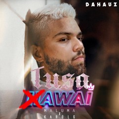 Maluma vs Karol G - Hawai x Tusa(Dahauz Mashup)Free Download