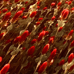 How bout we get in our feelings