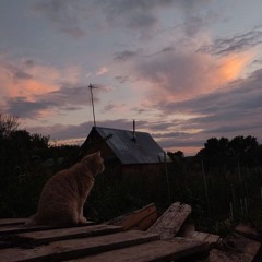 skyline w/d4ublecore
