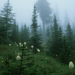 mt ranier