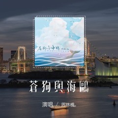 周林楓 - 蒼狗與海鷗「晚風吹著紫風鈴，搖曳的很動聽」【動態歌詞/pīn yīn gē cí】