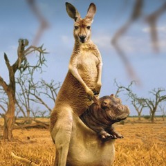 Nikome ni reč (hrcoxxx Drum Step Edit)