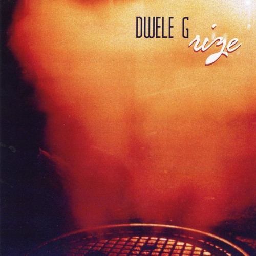 dwele- rize intro