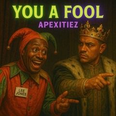 You A Fool ~ Apexitiez