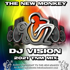 Dj Vision TNM Style Vinyl Mix Feb 2021
