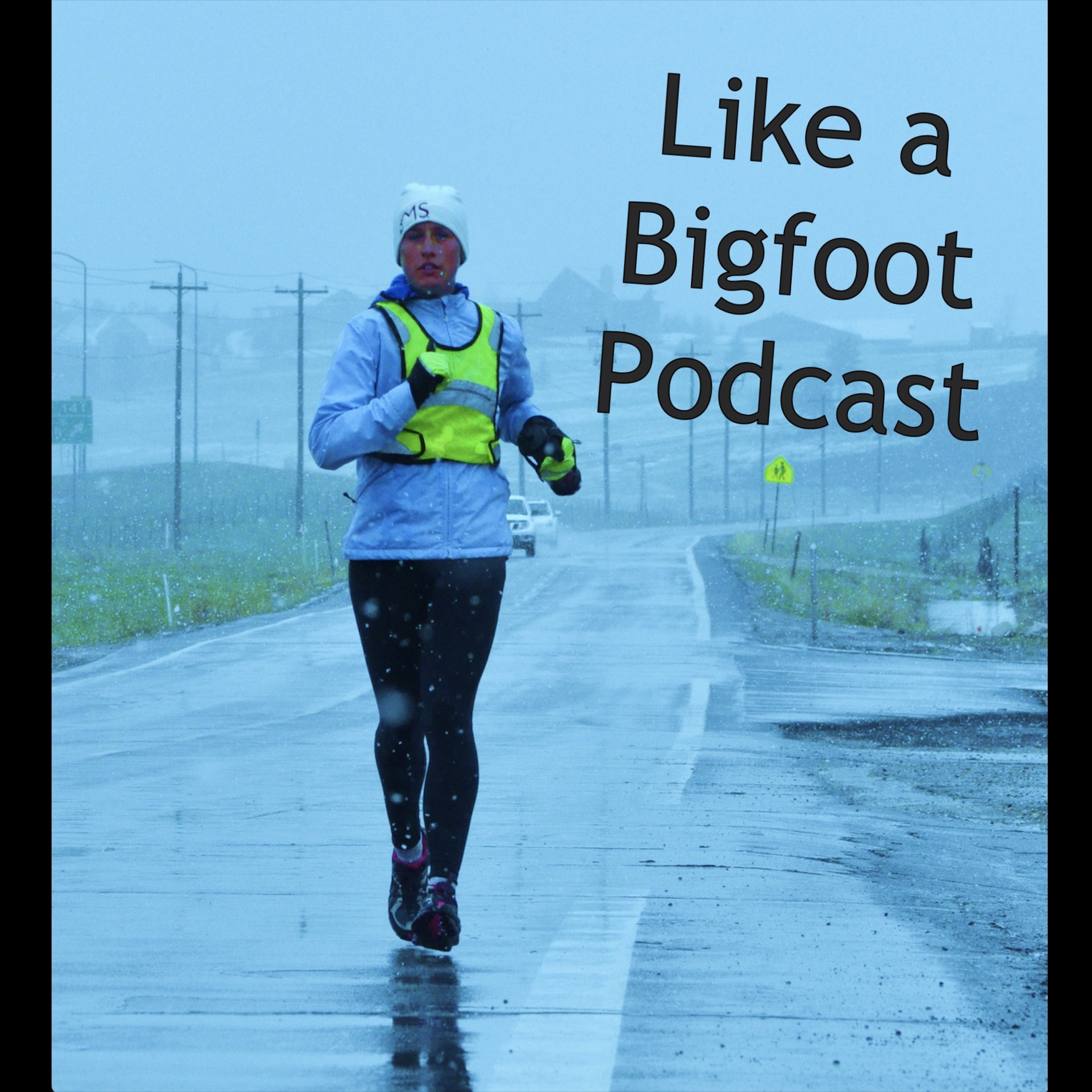 #341: Ashley Schneider -- Founder of MS Run the US, Running Across the US episode artwork