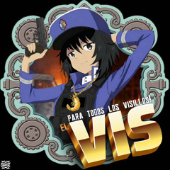 Vis y los visillos