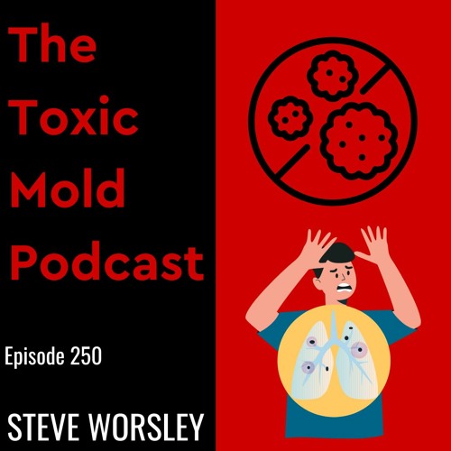 EP 250: How do You Kill Black Mold?
