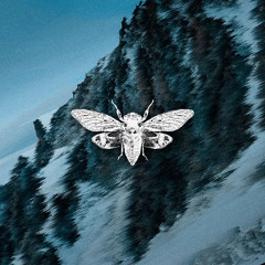 CR030 - Luccas Deo & Gustavo Jenks - XYSP EP