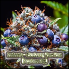 Ludacris - Blueberry Yum Yum (Psyclone Flip)