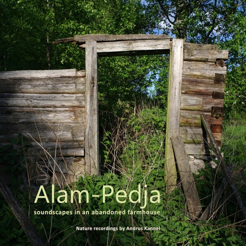 Preview of a nature recording album: Alam-Pedja soundscapes in an abandoned farmhouse