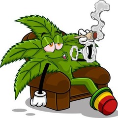 Fólia x klóz // Bahama