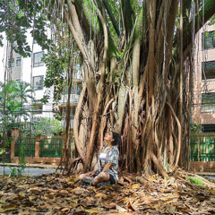 Set time TechHouse(house)