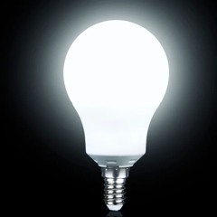 Gray Yard - Duugii Daagii