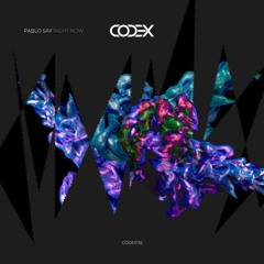 Premiere: Pablo Say - Right Now [Codex]