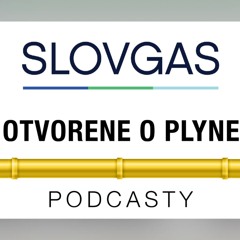 Otvorene o plyne s J.Papcunom