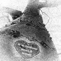 Je ne t'oublierai jamais