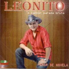 Dama do Vestido Longo (Dama Entre Aspas)