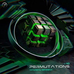 Permutations Vol.10 [preview]...out now!