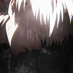 not understood / cover