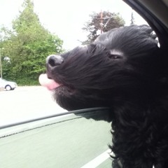 Headwinds