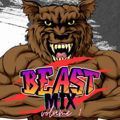 Beast Mix Vol 1 by DJ True