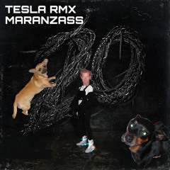 TeslaRMX - Maranzass (Prod. ElonMusk)