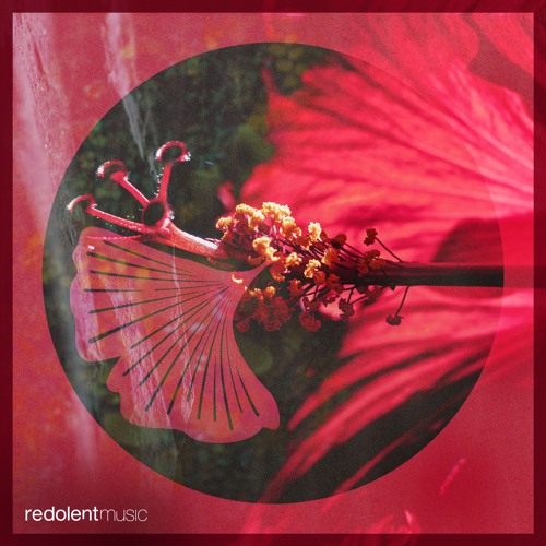 RDT087 NenaHalena, DJ Chus - Prado's Revenge Feat. Amira (Aaron Sevilla Remix)