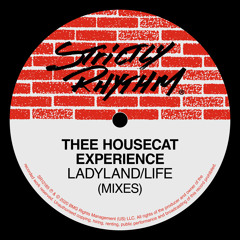 Life (The Mix)