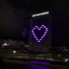 Purple Hearts <3