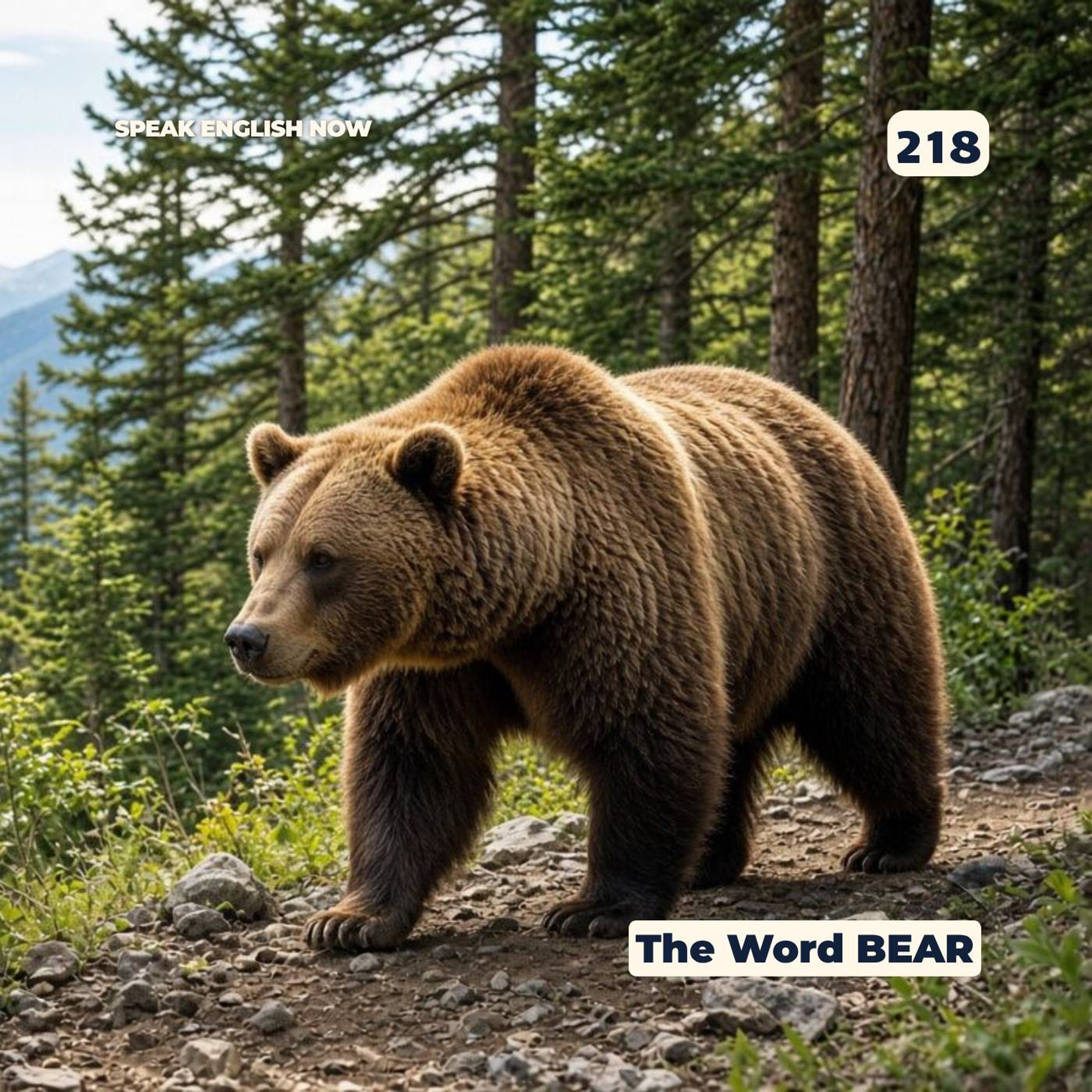 #218 The word Bear in English episode artwork