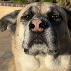 aintmyfault (prod. RuelG)(ft. DJ RU)