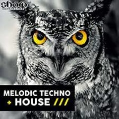 Melodic House & Melodic Techno Part 1