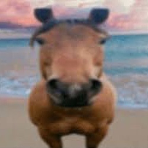 Chaos Theory x Purple Dragons x Spacetime VIP x Reality Distortion - Kris Flip