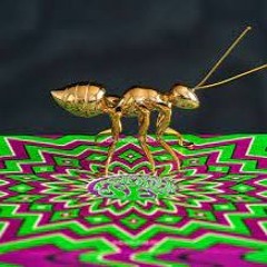 Kobaian, Cosmic Tree - Triumph Ant