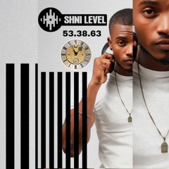 53.38.63 vibe's
