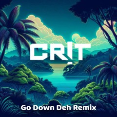 Go Down Deh — Spice, Shaggy Sean Paul (CR!T flip) [FREE DL]