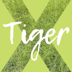 Tiger X. Episode 14. Astore
