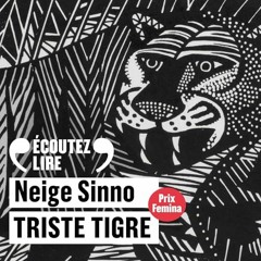 Livre Audio Gratuit 🎧 : Triste Tigre, De Neige Sinno