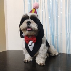 ?KON3Ų (ULTRA SLOWED)-STAKILLAZ