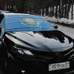 Чугунный скороход - Шамиль Басаев