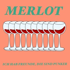 Ich hab Freunde, die sind Punker