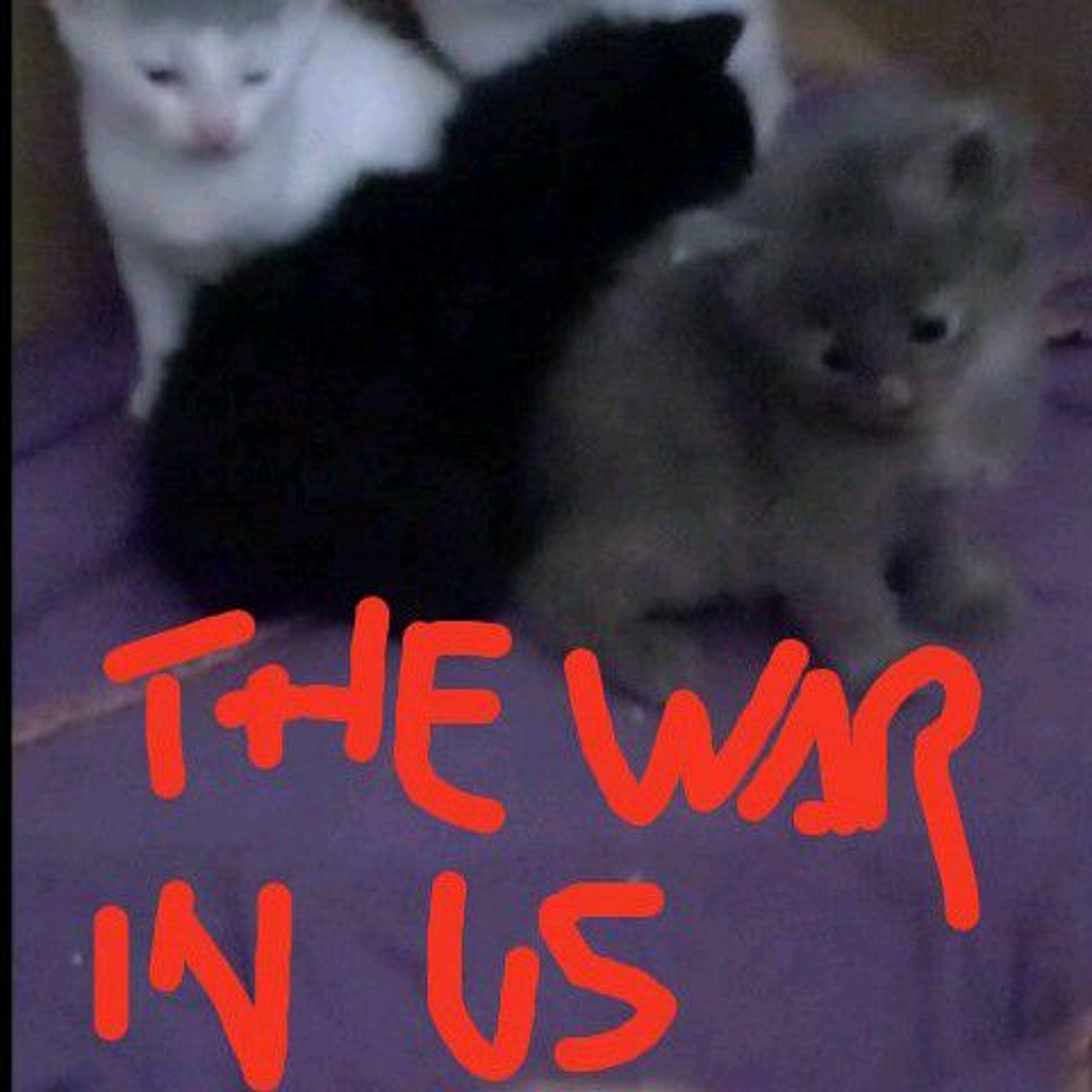 the WAR in us episode artwork