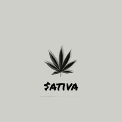 Vertiigo x Robbi$h - Sativa