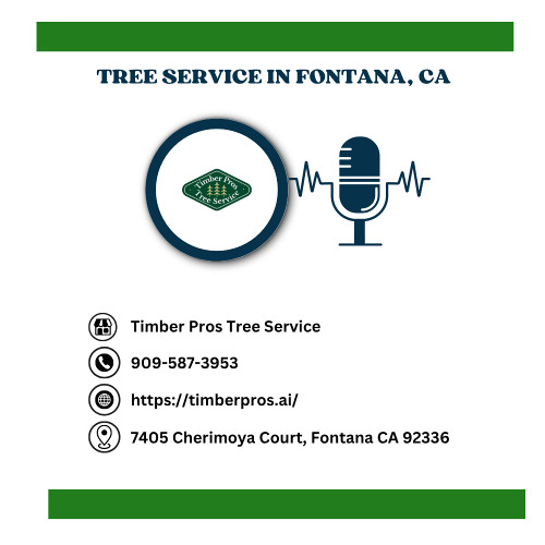 how-to-prevent-tree-damage-during-construction-in-fontana-ca