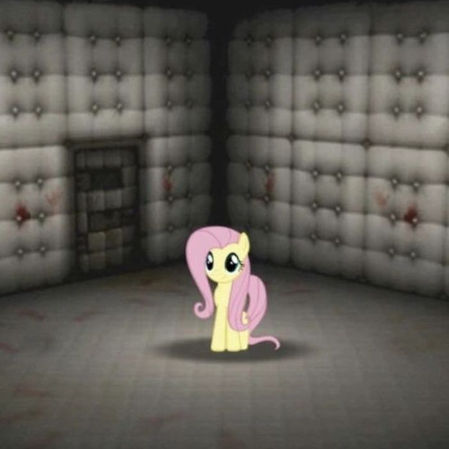 who the hell even are we??