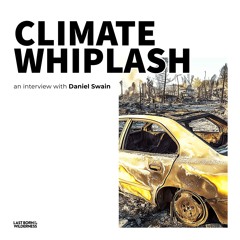 384 / Climate Whiplash / Daniel Swain