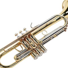 Don't Blow A Gasket (collab. with Glorious Fool) - 1 31 25, 04.47