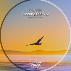 Fleeting Eternity (Original Mix) [Out Now !]